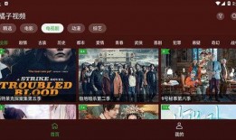 爆料明星八卦视频下载安装,独家爆料视频深度解析